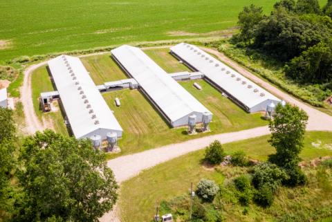 Farm